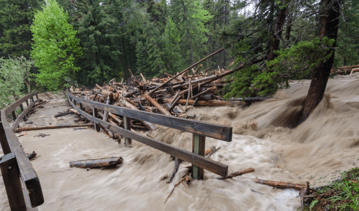 Flash flood
